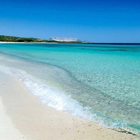 Villa Indipendente Al Mare Budoni タナウネッラ エクステリア 写真