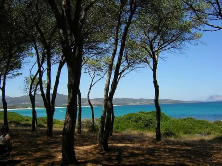 Villa Indipendente Al Mare Budoni タナウネッラ エクステリア 写真
